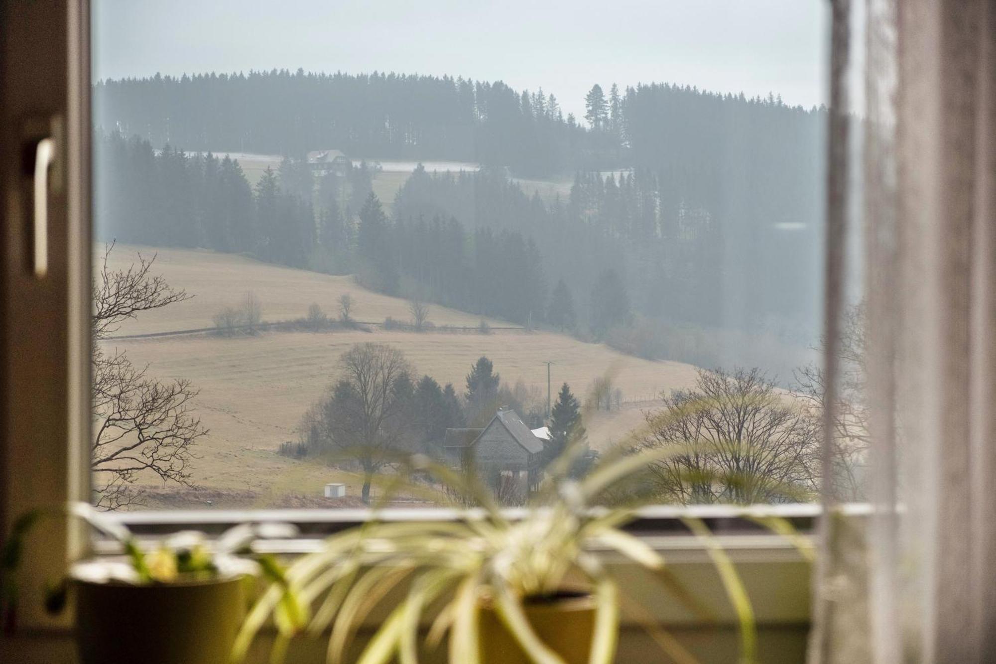 Apartment Beim Pauli Titisee-Neustadt